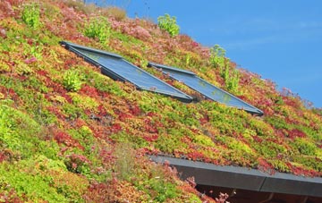 Foulridge living roof systems